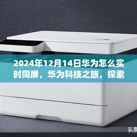 華為科技之旅，實(shí)時同屏探索自然美景的寧靜之旅（2024年12月14日）