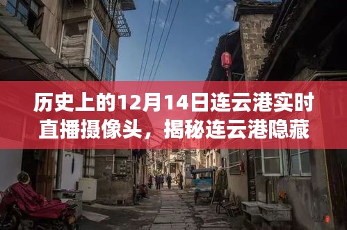 揭秘美食秘境，連云港隱藏小巷的實時直播探索之旅（附日期，12月14日）