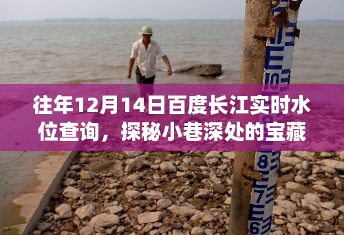 百度長(zhǎng)江水位查詢(xún)背后的秘密，小巷寶藏與實(shí)時(shí)水位數(shù)據(jù)探秘