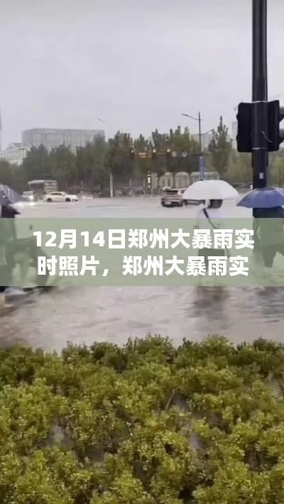 鄭州大暴雨實(shí)時(shí)照片記錄，雨幕下的城市拍攝指南