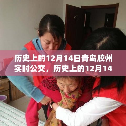 青島膠州公交查詢指南，歷史上的12月14日實時公交攻略與查詢方法分享