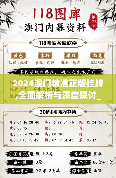 2024澳門(mén)精準(zhǔn)正版掛牌,全面解析與深度探討_專業(yè)版6.453