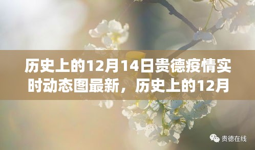歷史上的12月14日貴德疫情實(shí)時動態(tài)圖最新解讀與更新