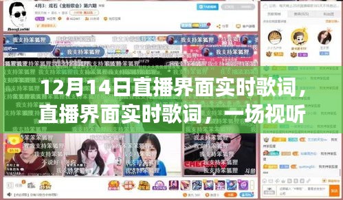 12月14日直播界面實時歌詞解析，視聽盛宴的深度剖析
