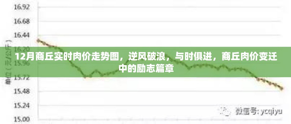 商丘肉價(jià)變遷，逆風(fēng)破浪的勵志篇章與實(shí)時(shí)走勢解析