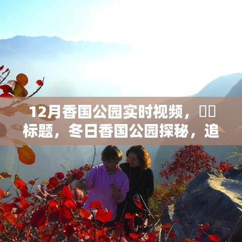 冬日香國公園實時探秘，追尋自然魔法與內(nèi)心寧靜的旅程