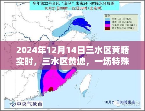 三水區(qū)黃塘，特殊時刻的回顧與記錄（2024年12月14日）