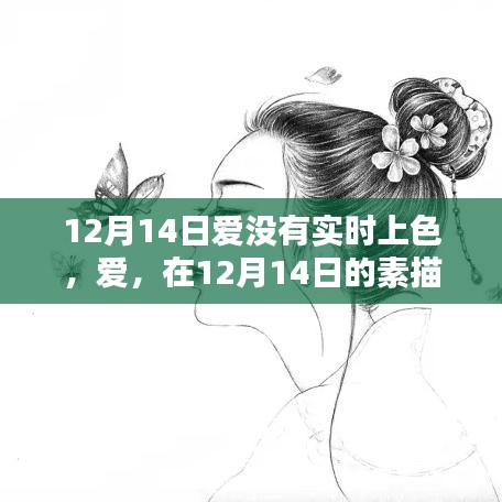 12月14日素描中的無(wú)聲之愛，悄然上色的浪漫情感
