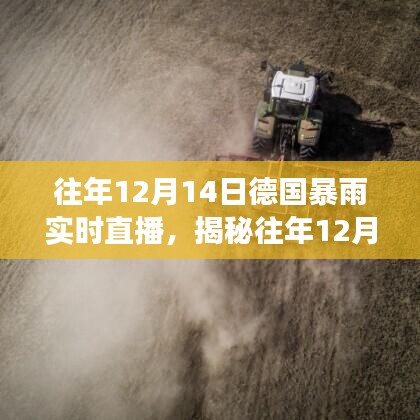 揭秘德國暴雨，實時直播下的天氣巨變與往年12月14日的暴雨紀(jì)實