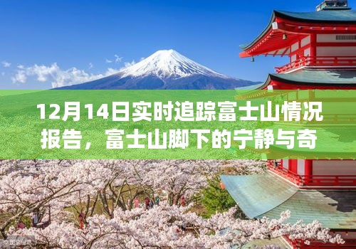 富士山實時追蹤報告，與自然共舞，探尋寧靜與奇跡的旅程