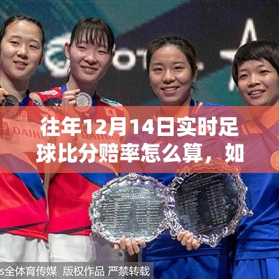 往年12月14日實(shí)時(shí)足球比分賠率詳解，計(jì)算步驟與指南