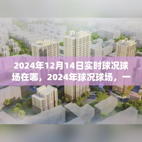 歷史與未來的交匯，揭秘2024年球況球場實時動態(tài)與地點