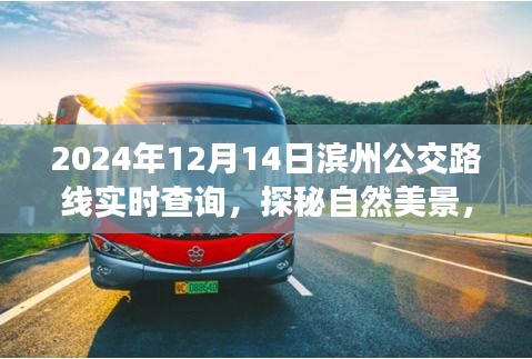 濱州公交路線實(shí)時(shí)查詢，啟程公交之旅，探尋自然美景與內(nèi)心寧?kù)o的交匯點(diǎn)