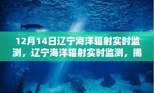 揭秘科技力量與環(huán)保責(zé)任，遼寧海洋輻射實(shí)時(shí)監(jiān)測(cè)詳解（要點(diǎn)詳解）
