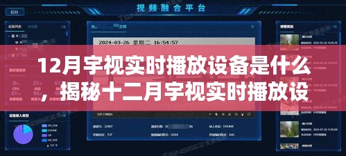 揭秘十二月宇視實(shí)時(shí)播放設(shè)備的獨(dú)特魅力與功能特點(diǎn)