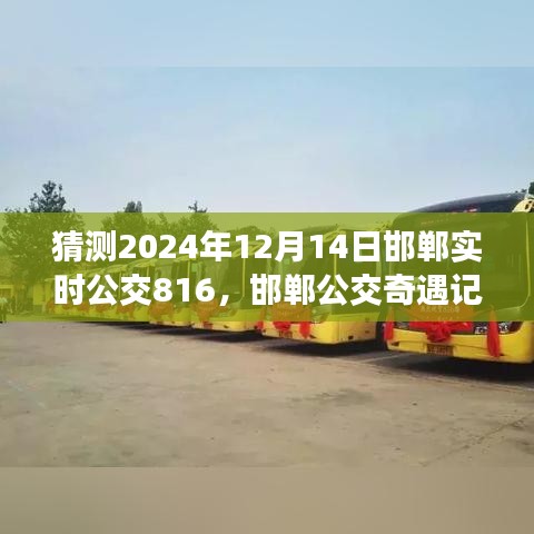 邯鄲公交奇遇記，揭秘與公交816的不解之緣，預(yù)測(cè)2024年12月14日實(shí)時(shí)動(dòng)態(tài)