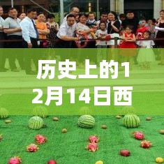 歷史上的12月14日西瓜行情深度解析，實(shí)時(shí)走勢(shì)與行情分析
