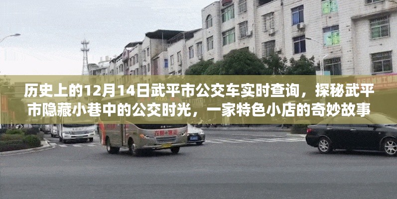 武平市公交探秘，歷史實(shí)時(shí)查詢與隱藏小巷的公交時(shí)光之旅特色小店故事