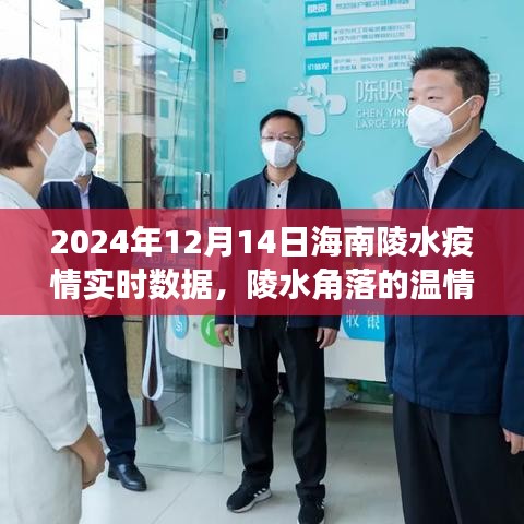 海南陵水疫情下的溫情角落，愛與陪伴的日常故事（實時數據報告）