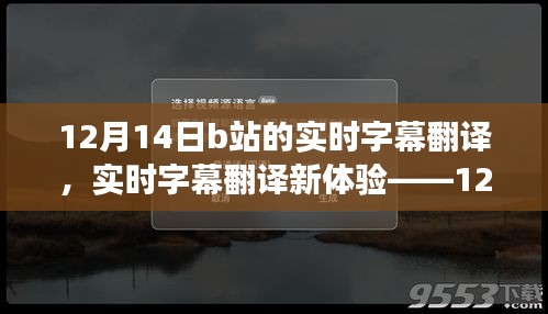 12月14日B站實時字幕翻譯新體驗，深度評測與功能探索