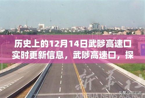 武陟高速口，探尋自然美景的啟程之地，揭秘歷史與未來，奇妙旅程盡在12月14日