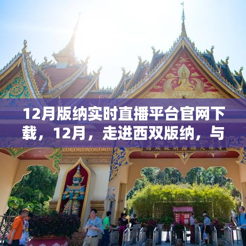 西雙版納實(shí)時(shí)直播平臺(tái)官網(wǎng)下載盛況回顧，與大自然共舞，體驗(yàn)直播魅力