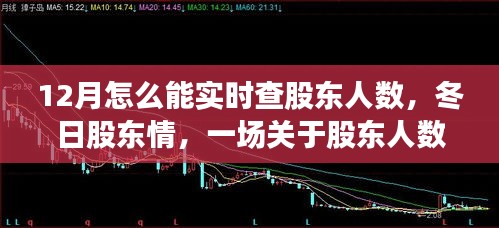 冬日股東情，實時查詢股東人數(shù)的故事與指南