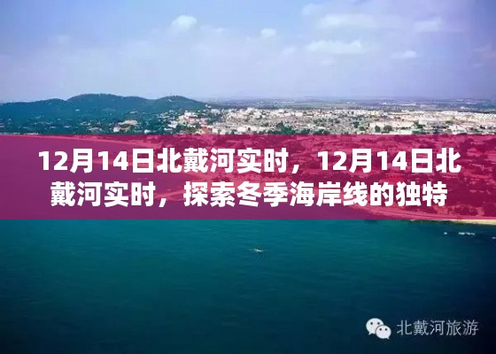 鷙鳥不群 第4頁