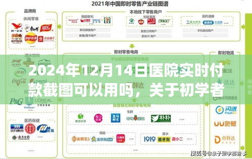 醫(yī)院實時付款截圖功能使用指南，初學(xué)者與進(jìn)階用戶步驟詳解（2024年）