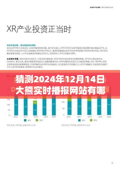 預測未來，探索大熊實時播報網(wǎng)站在2024年12月14日的形態(tài)