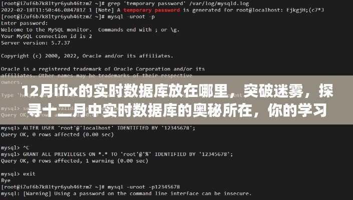 探尋十二月實(shí)時(shí)數(shù)據(jù)庫位置，學(xué)習(xí)之旅啟程