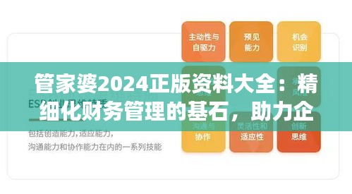 管家婆2024正版資料大全：精細化財務管理的基石，助力企業(yè)穩(wěn)健發(fā)展