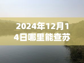 2024年蘇州實時公交指南，探秘自然美景與尋找心靈驛站