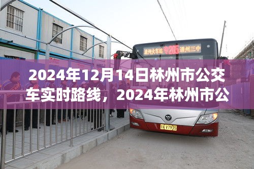 2024年林州市公交車(chē)實(shí)時(shí)路線指南，12月14日最新路線