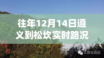 遵義松坎之旅，自然懷抱中的心靈寧靜與實時路況查詢