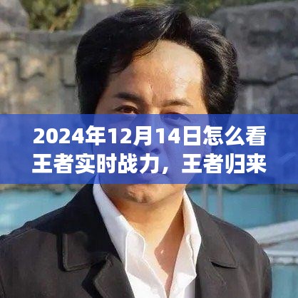 王者歸來，探尋自然美景之旅與解鎖內(nèi)心平靜之力，實(shí)時(shí)戰(zhàn)力指南（2024年12月14日）