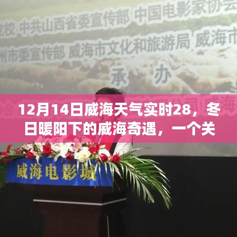 威海冬日暖陽下的友情奇遇，實(shí)時天氣與陪伴的溫馨故事