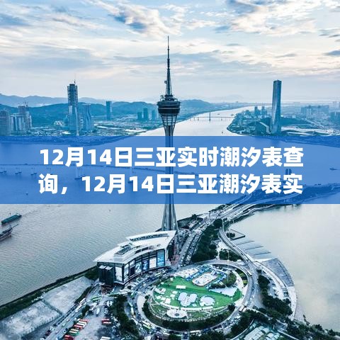 12月14日三亞潮汐表實時查詢攻略，從新手到進階的全方位教程
