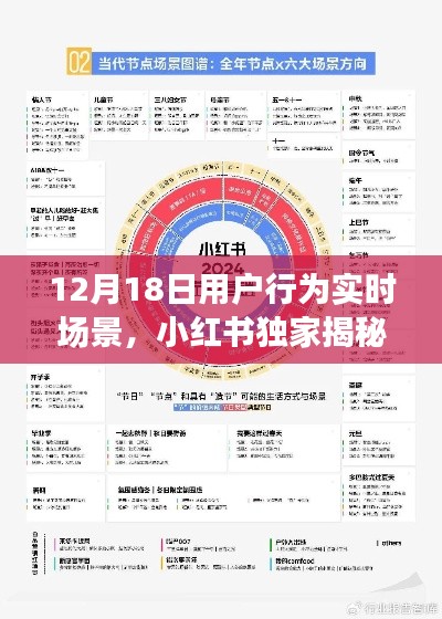 小紅書獨家揭秘，12月18日用戶行為實時場景全解析與洞察
