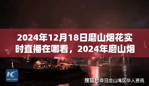 2024年磨山煙花盛典實(shí)時(shí)直播觀看指南與體驗(yàn)解析