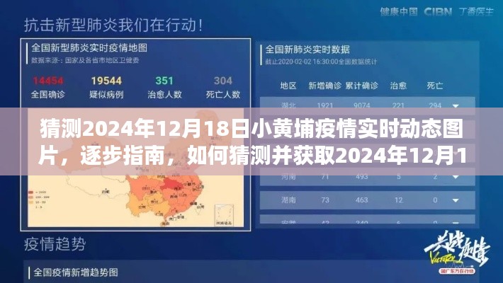 揭秘，如何獲取與猜測(cè)2024年小黃埔疫情實(shí)時(shí)動(dòng)態(tài)圖片指南