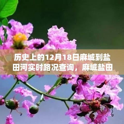 麻城鹽田河，一條路上的故事與溫情——實時路況查詢記錄