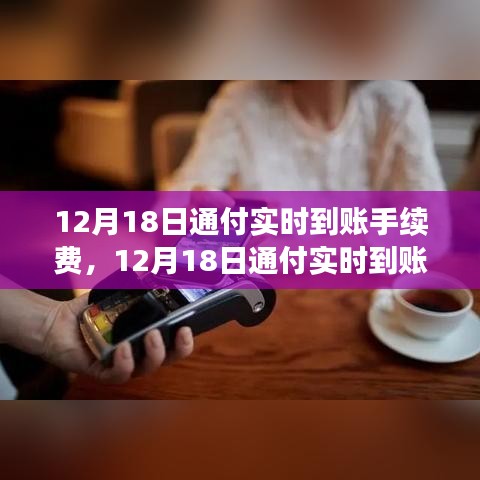 12月18日通付實(shí)時(shí)到賬手續(xù)費(fèi)調(diào)整解析，新政策費(fèi)用標(biāo)準(zhǔn)及其影響