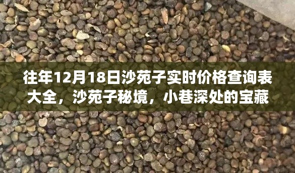 沙苑子實時價格查詢表及秘境探秘，小巷深處的寶藏與價格探秘之旅
