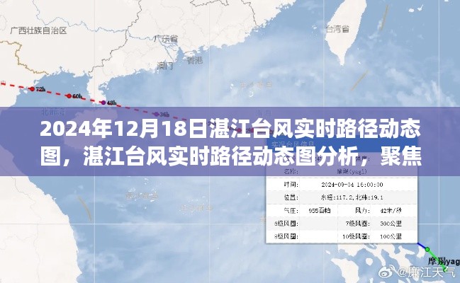 湛江臺風(fēng)實時路徑動態(tài)圖分析，聚焦?fàn)幾h觀點，解讀臺風(fēng)動態(tài)影響報告（附實時路徑圖）