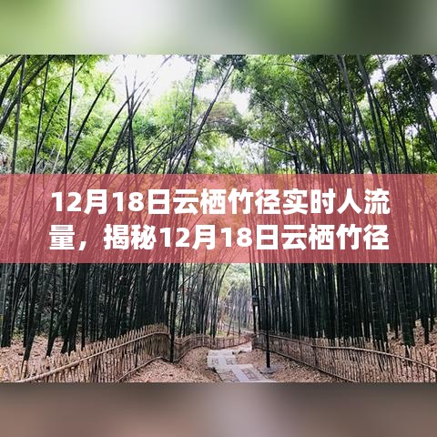 揭秘，云棲竹徑在12月18日的實(shí)時(shí)人流量深度解析與洞察報(bào)告