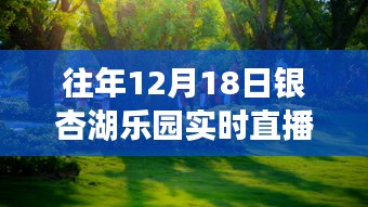 重溫銀杏湖樂園夢幻之旅，往年12月18日直播盛典回顧