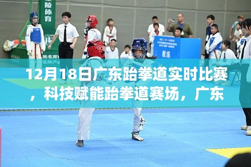 科技賦能跆拳道賽場，廣東跆拳道實(shí)時(shí)比賽智能體驗(yàn)日紀(jì)實(shí)