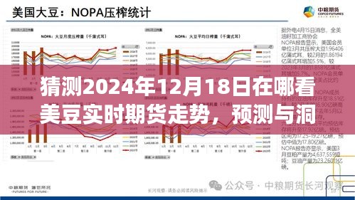 美豆實(shí)時(shí)期貨走勢(shì)展望，探尋2024年12月18日走勢(shì)預(yù)測(cè)與洞察