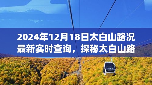 太白山路況實時更新，美食之旅探尋隱藏小巷的獨特風(fēng)味